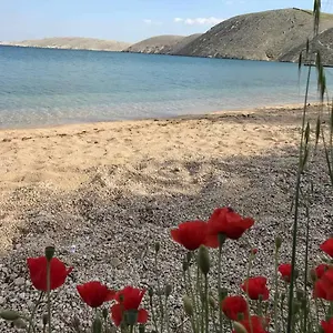 https://charming-apartment-piccolo-paradiso.hotelinzadar.com